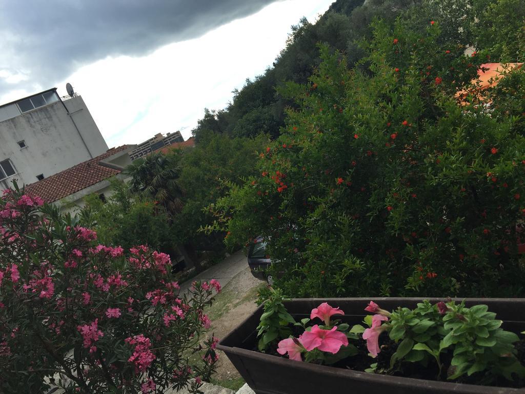Apartament Ant Budva