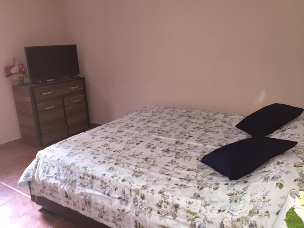 Apartament Ant