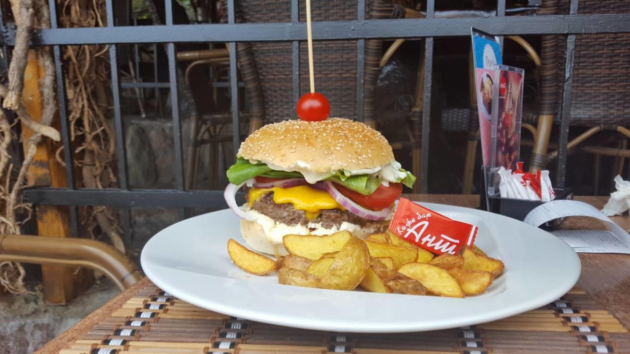 Ant Budva