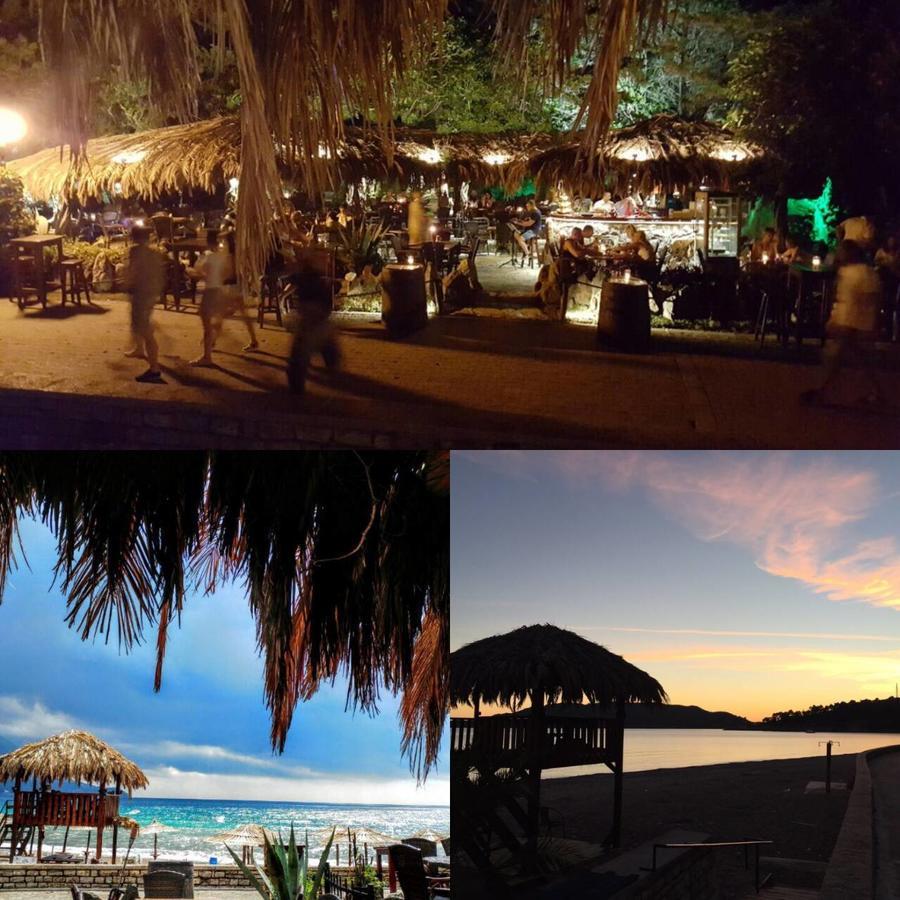 Ant Budva