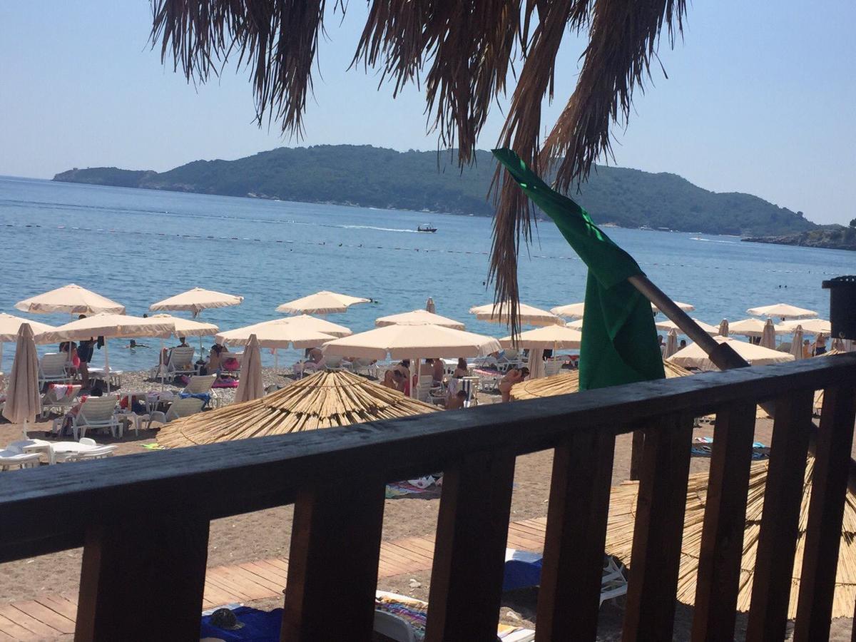 Ant Budva