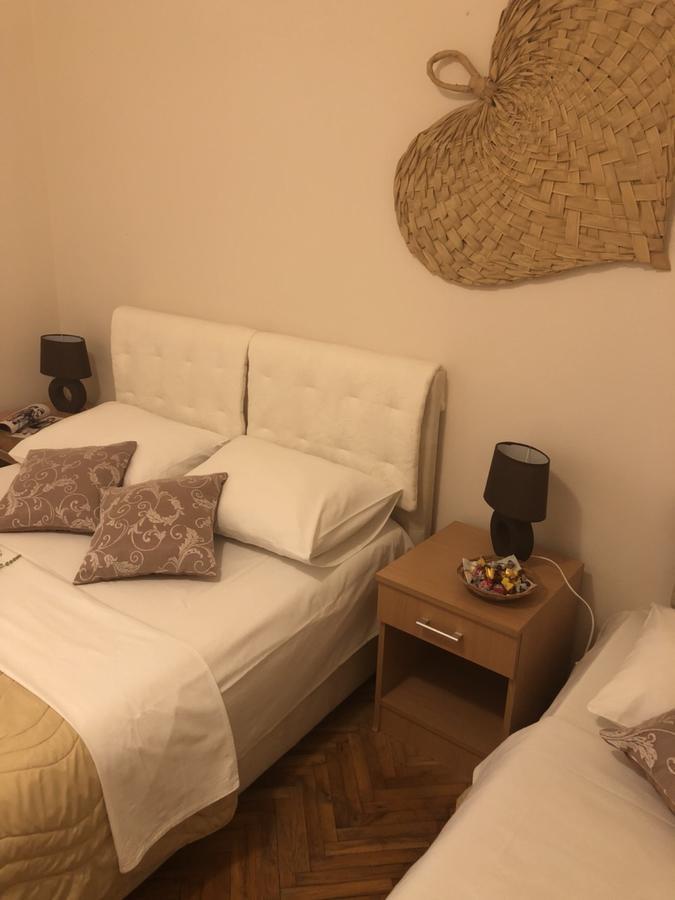 Ant Budva