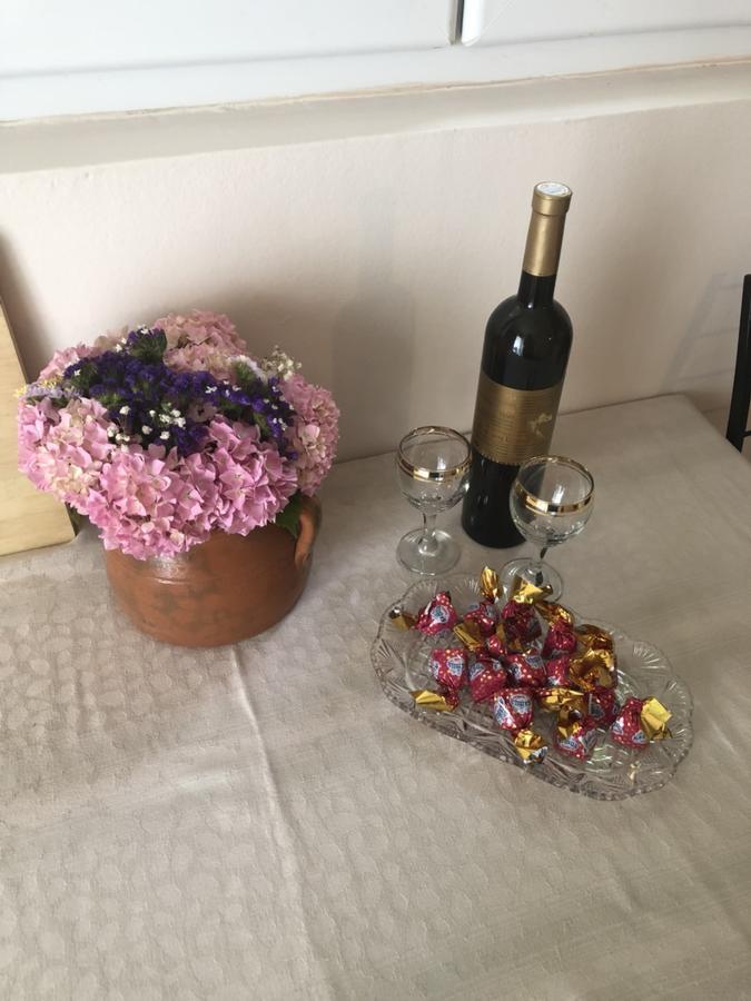 Ant Apartament *