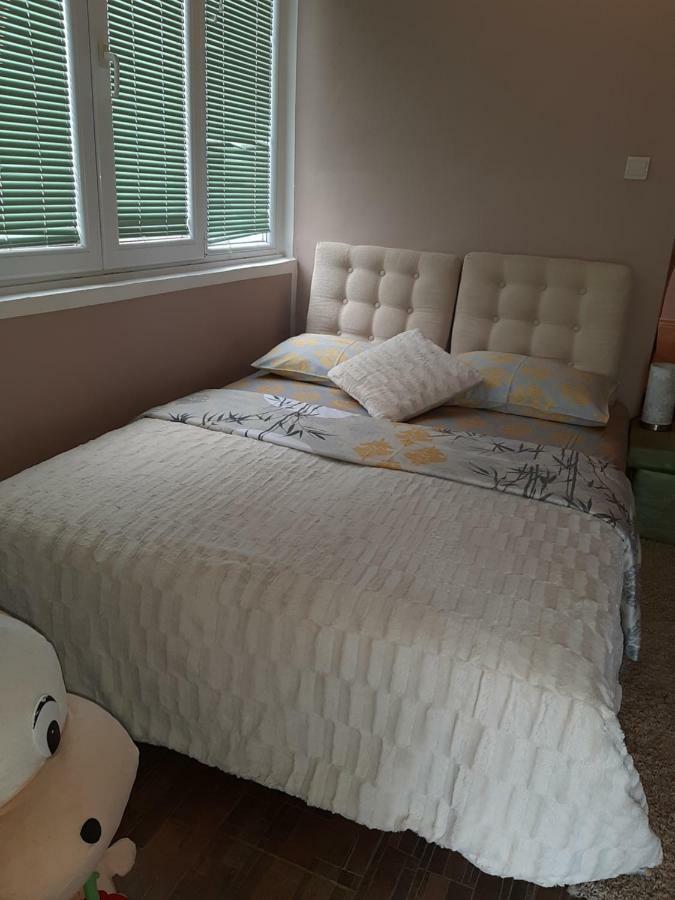 Ant Apartament