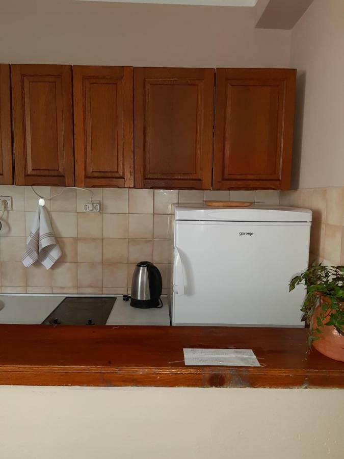 Ant Apartament